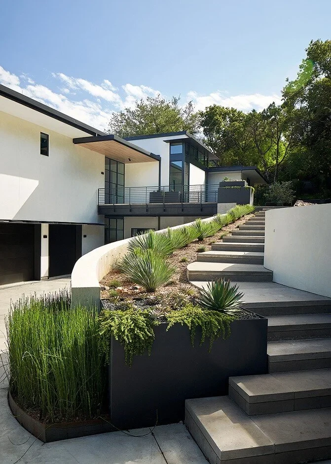 Concrete steps climbing past a planter of grasses toward a modern home on a hillside